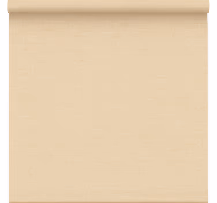 Office roller blind simple beige sheer - TenStickers