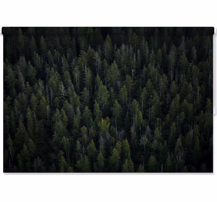 Tree roller blind in deep woodland texture - TenStickers