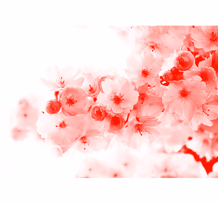 Kitchen roller blind red bush - TenStickers