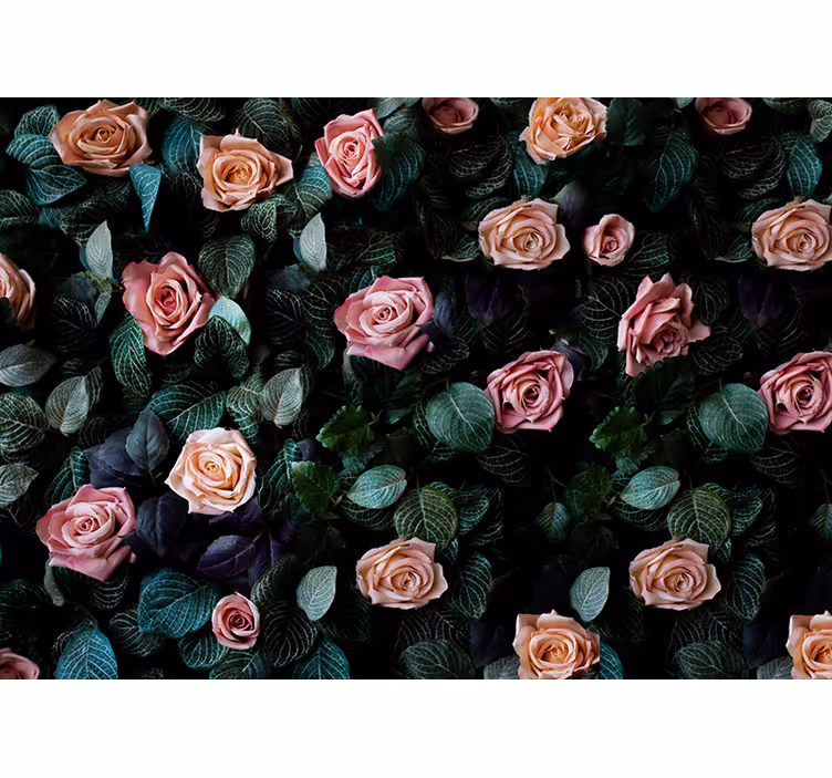 Kitchen roller blind in pink coral roses - TenStickers