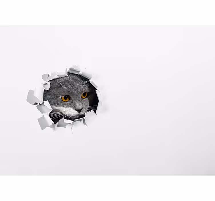 Cute cat white roller blind - TenStickers