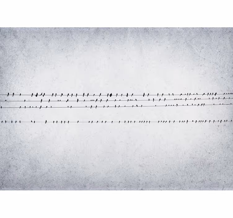 White roller blind birdsong on lines - TenStickers