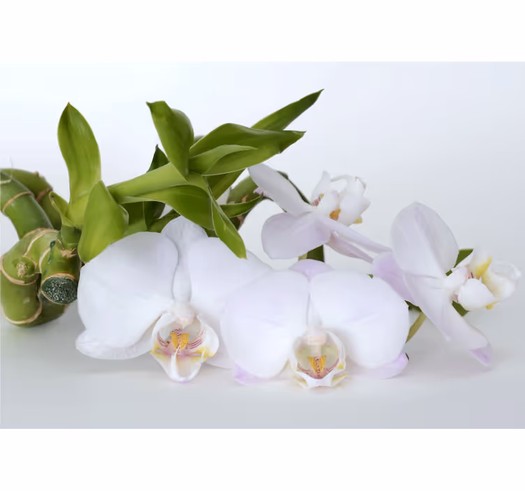 White roller blind with white green orchid design - TenStickers