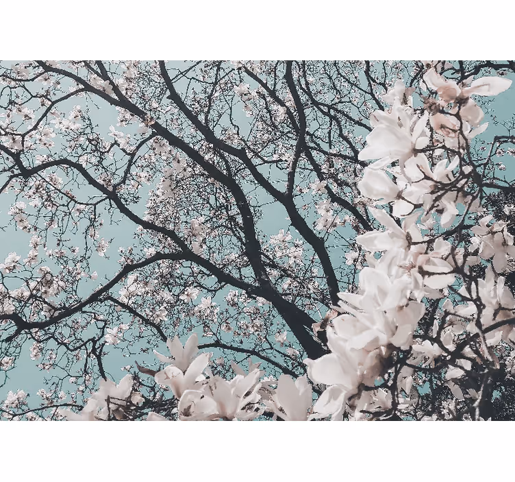 Living room roller blind in elegant cherry blossom style - TenStickers