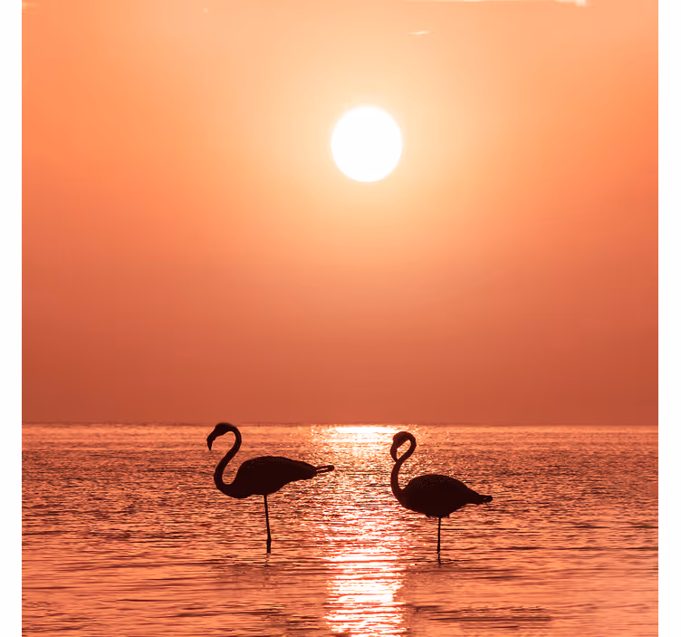 Living room roller blind nice flamingo at sunset - TenStickers