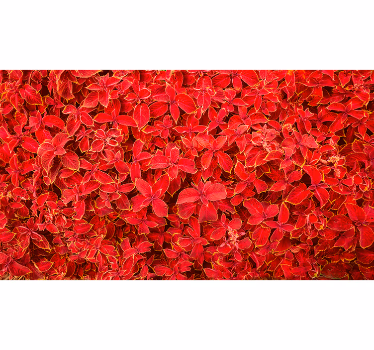 Red roller blind with petal pattern design - TenStickers
