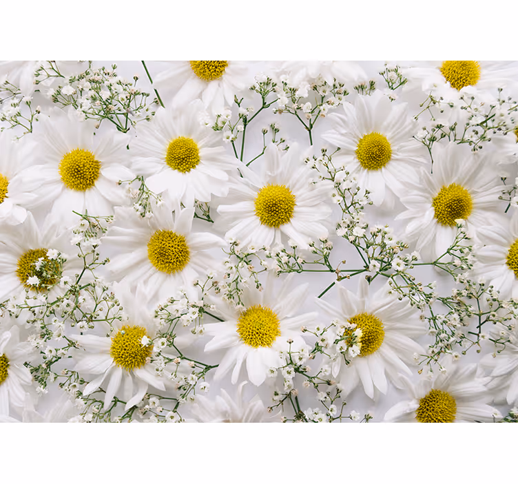 Living room roller blind daisy flower design - TenStickers