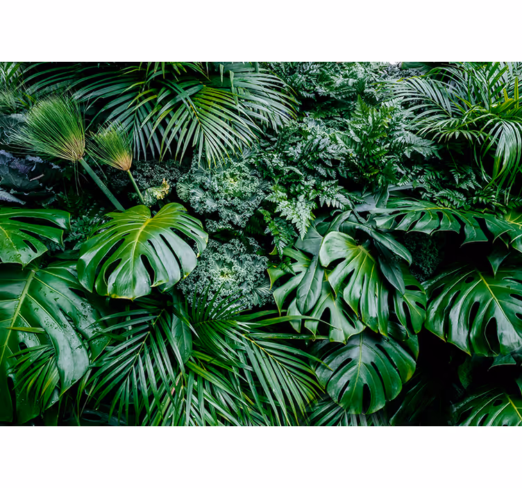 Green roller blind rainy jungle design - TenStickers