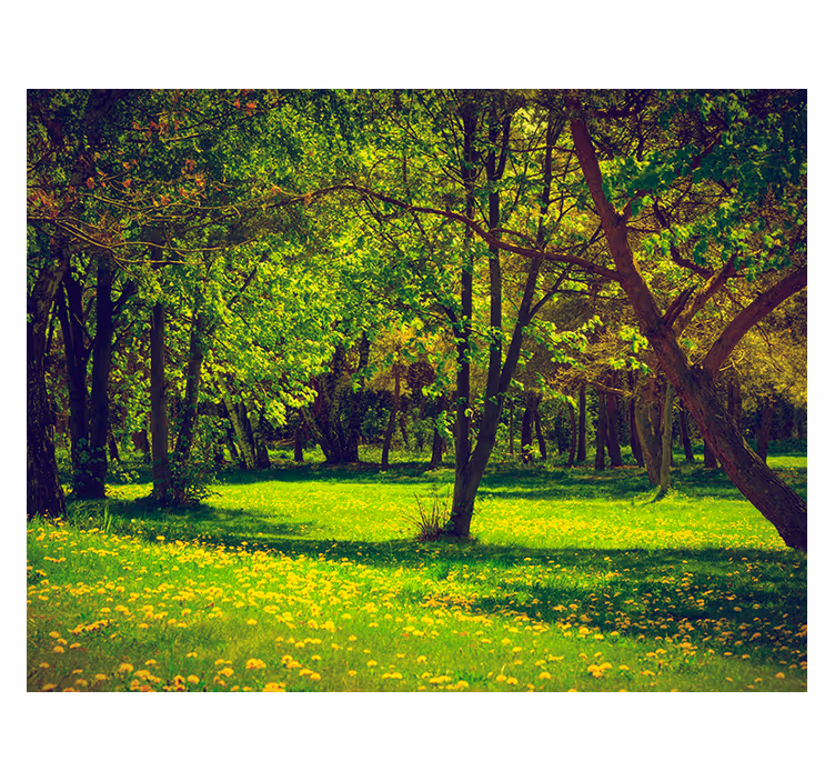 Green roller blind serene forest landscape - TenStickers