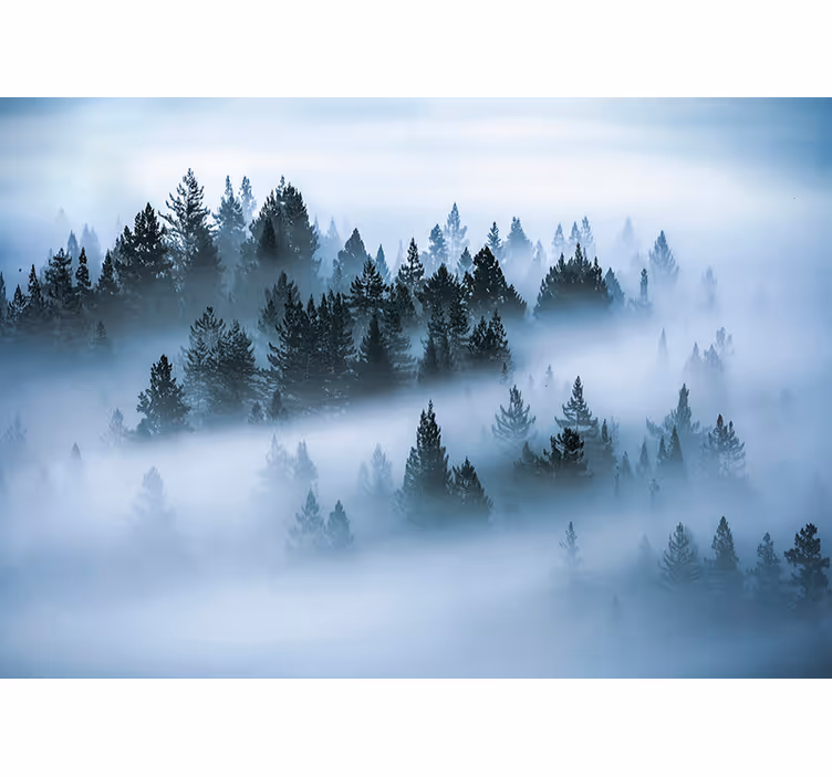 Living room roller blind morning mist - TenStickers
