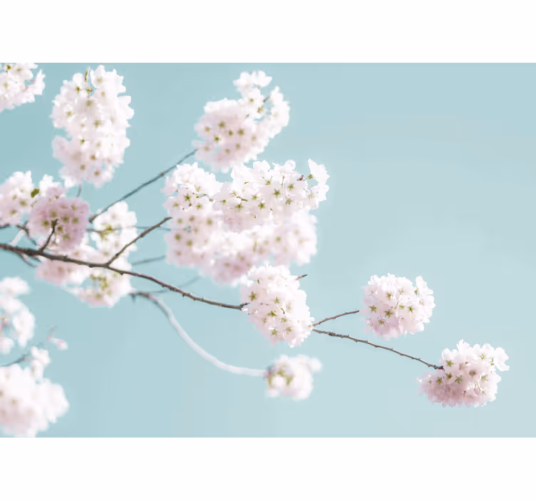 Living room roller blind elegant white flower design - TenStickers