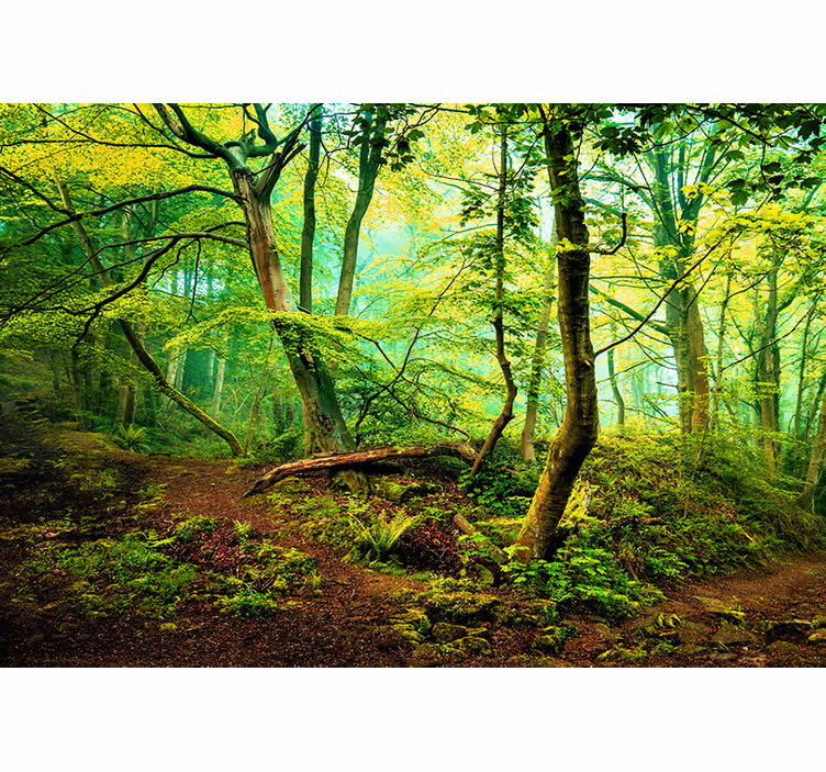 Green lightful living room roller blind - TenStickers