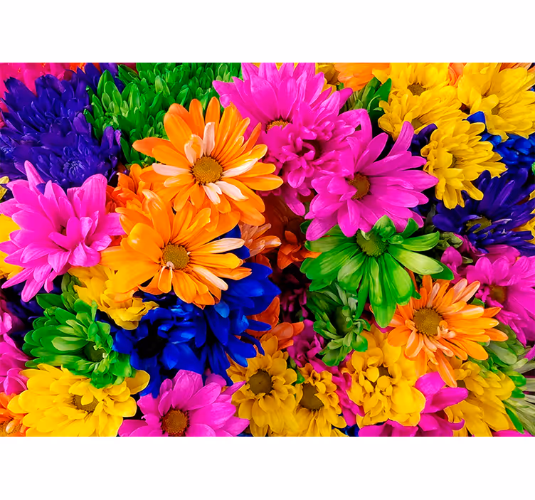 Living room roller blind colorful chrysanthemum - TenStickers