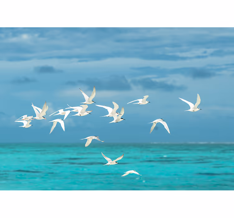 Living room roller blind bird flight design - TenStickers