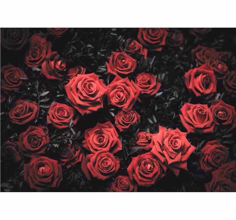 Living room roller blind black and white red roses - TenStickers