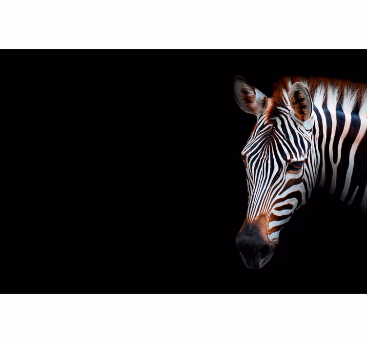 Living room roller blind zebra print - TenStickers