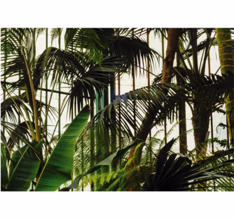 Living room roller blind with green wall plants - TenStickers