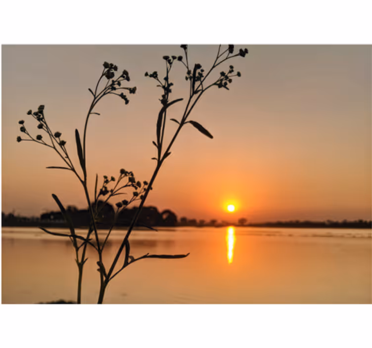 Living room roller blind sunset over the lake - TenStickers