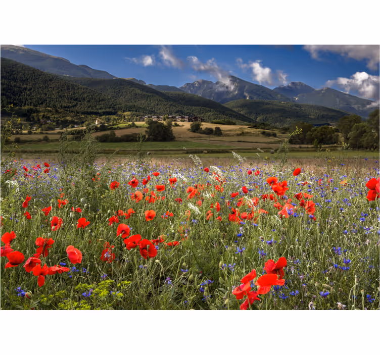 Living room roller blind in a beautiful flower field - TenStickers