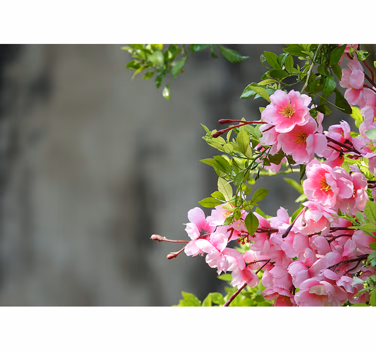 Living room roller blind pink flowers 3d design - TenStickers