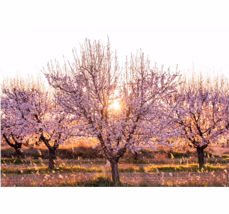 Living room roller blind pink flower landscape - TenStickers