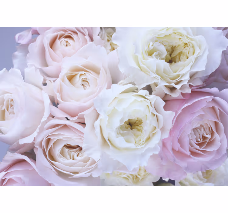 Living room roller blind different roses close up - TenStickers