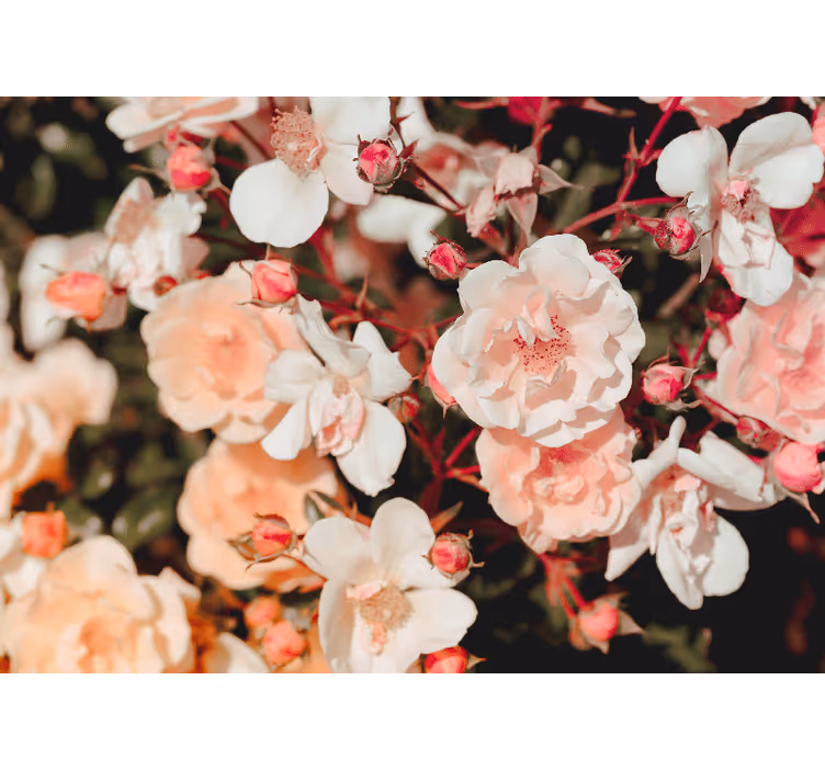 Living room roller blind with abundant flowers - TenStickers
