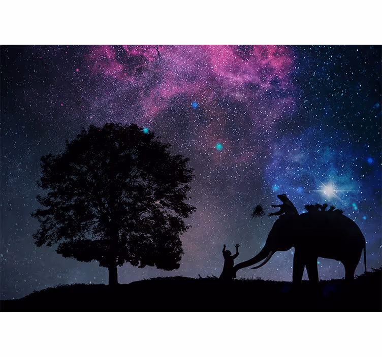 Living room roller blind starry night elephant - TenStickers