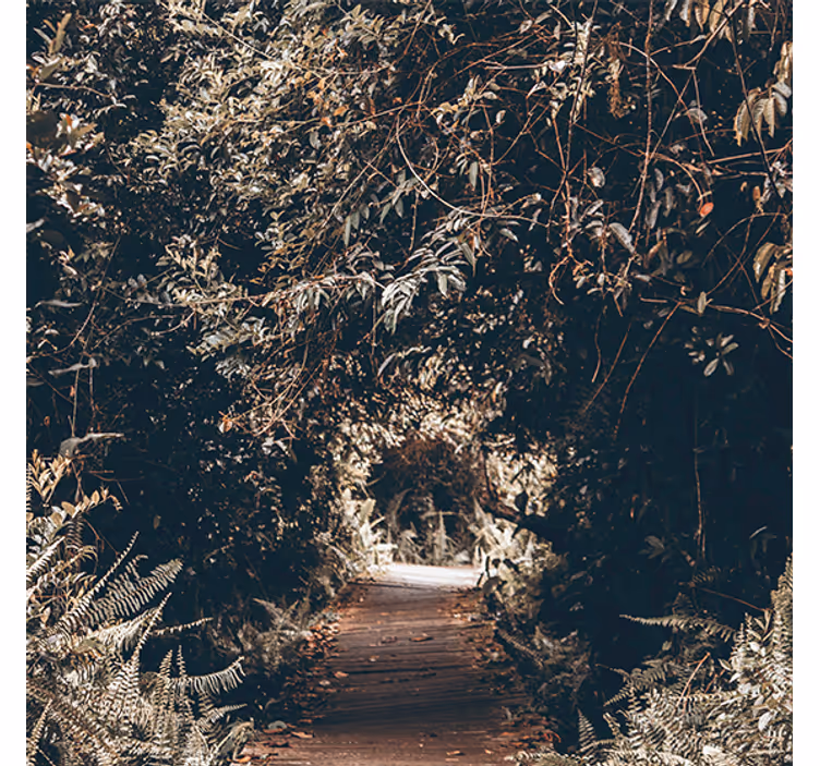 Living room roller blind nature tunnel to the forest - TenStickers