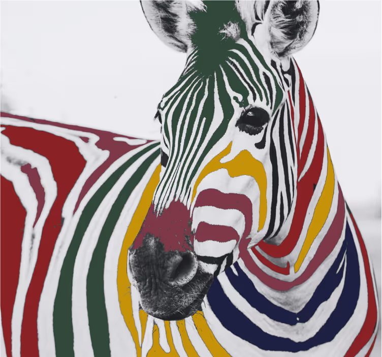 Living room roller blind colorful zebra art - TenStickers