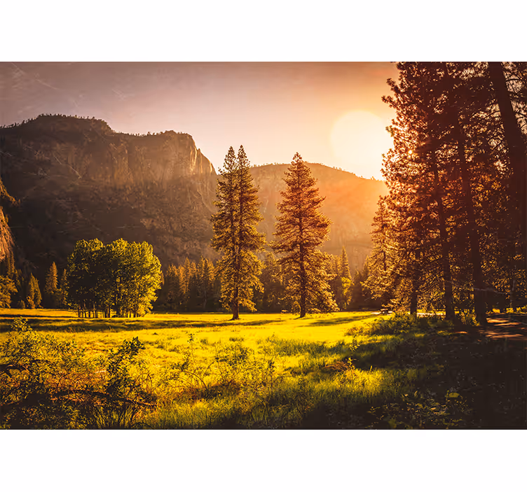 Living room roller blind sunset behind trees - TenStickers