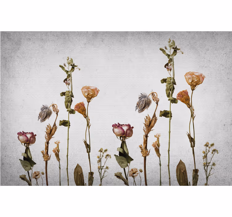 Living room roller blind scandinavian style dried plants - TenStickers