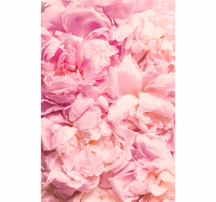 Bedroom roller blind with realistic pink peonies - TenStickers