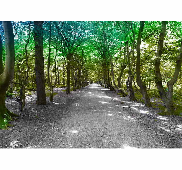 Living room roller blind sunny green forest path - TenStickers