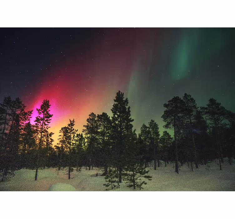 Bedroom roller blind northern lights above trees - TenStickers