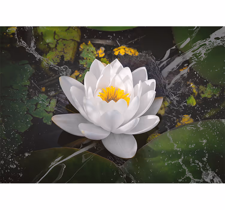 Bedroom roller blind white and yellow lotus - TenStickers