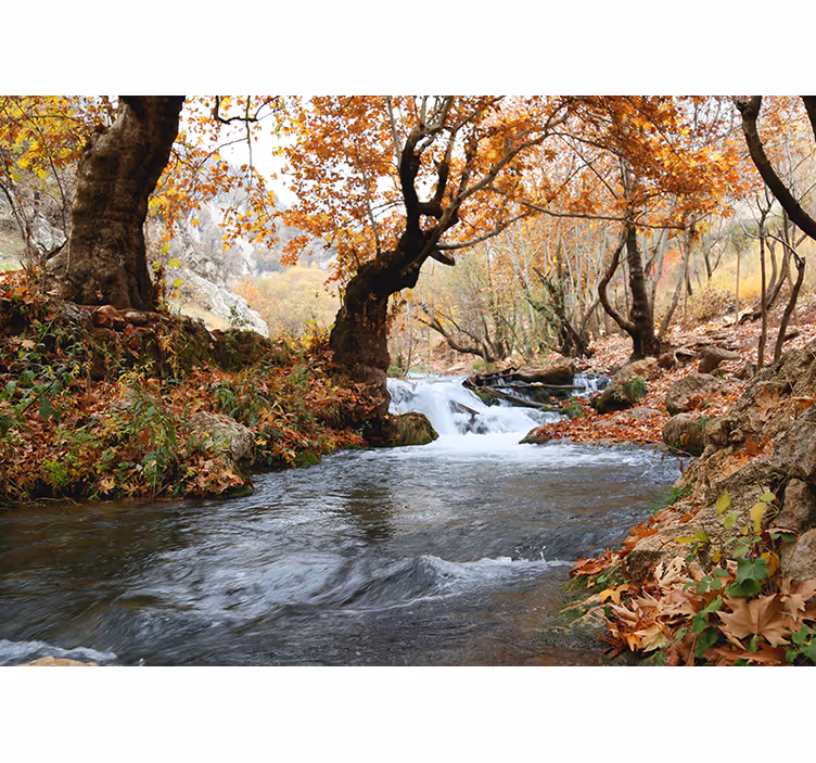 Bedroom roller blind flowing river in autumn forest - TenStickers