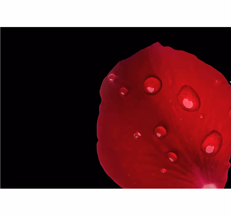 Bedroom roller blind with red rose pattern and water drops - TenStickers