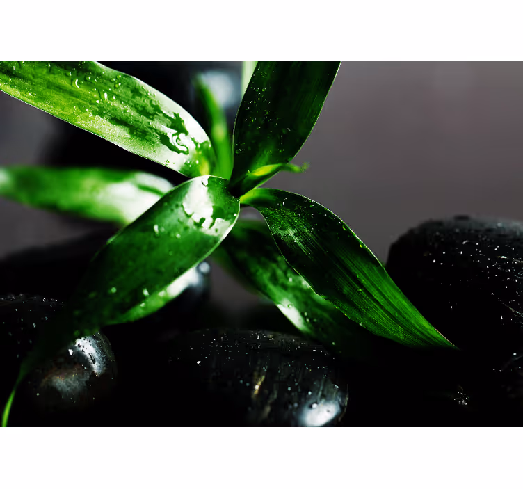 Bedroom roller blind zen black stones on water - TenStickers