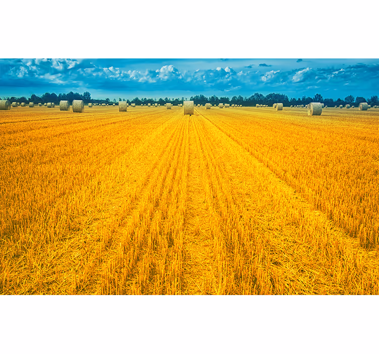Bedroom roller blind in polish countryside yellow - TenStickers