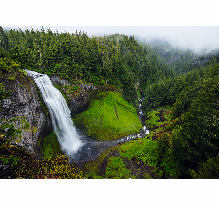 Bedroom roller blind tranquil waterfall in green forest - TenStickers