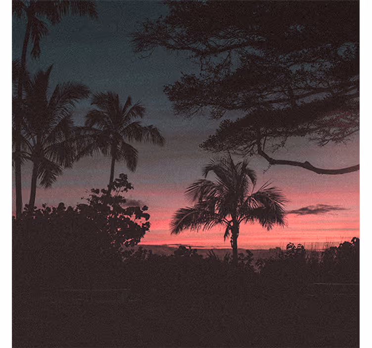 Living room roller blind trees pink sky sunset - TenStickers