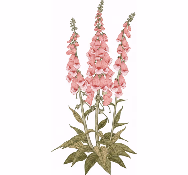 Living room roller blind pink flowers design - TenStickers