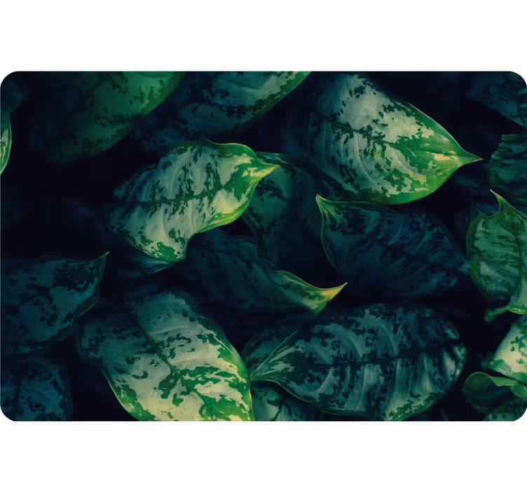 Bedroom roller blind with maranta leaves design - TenStickers
