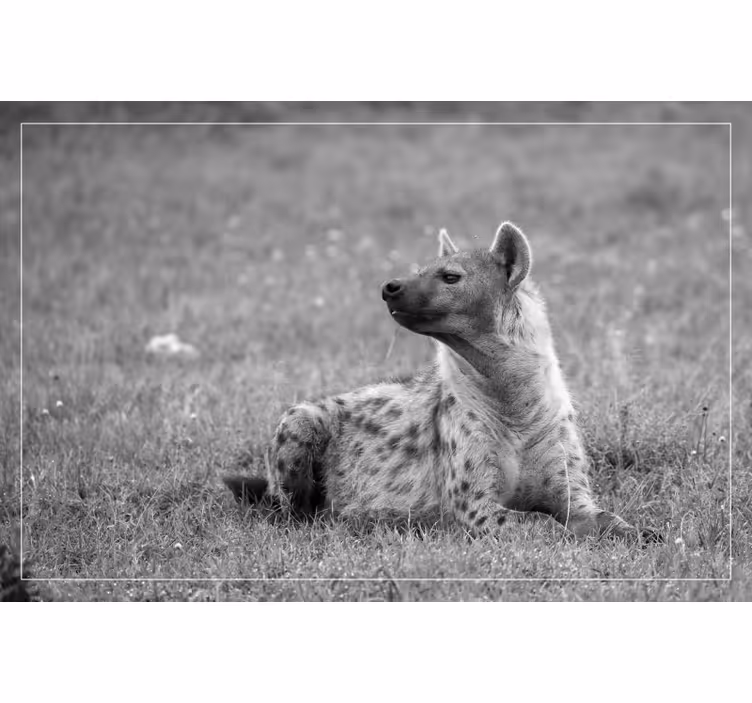 Cute hyena bedroom roller blind - TenStickers