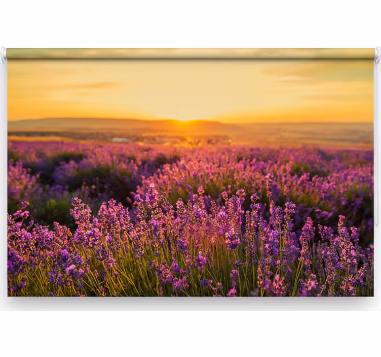 Bedroom roller blind provence panorama - TenStickers