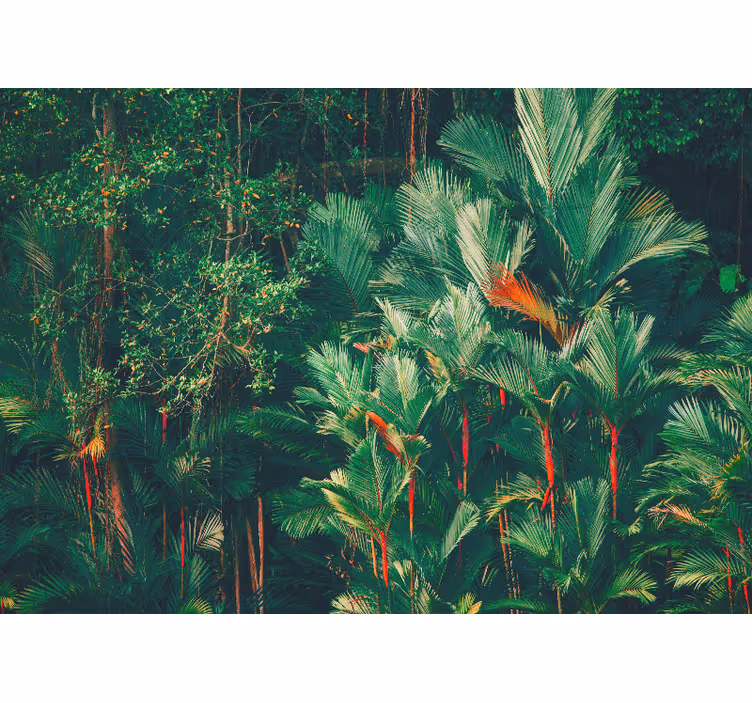 Jungle morning bedroom roller blind - TenStickers