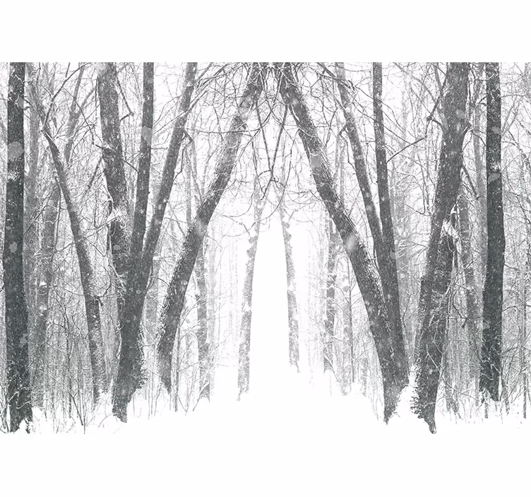 Bedroom roller blind winter trees in the forest - TenStickers