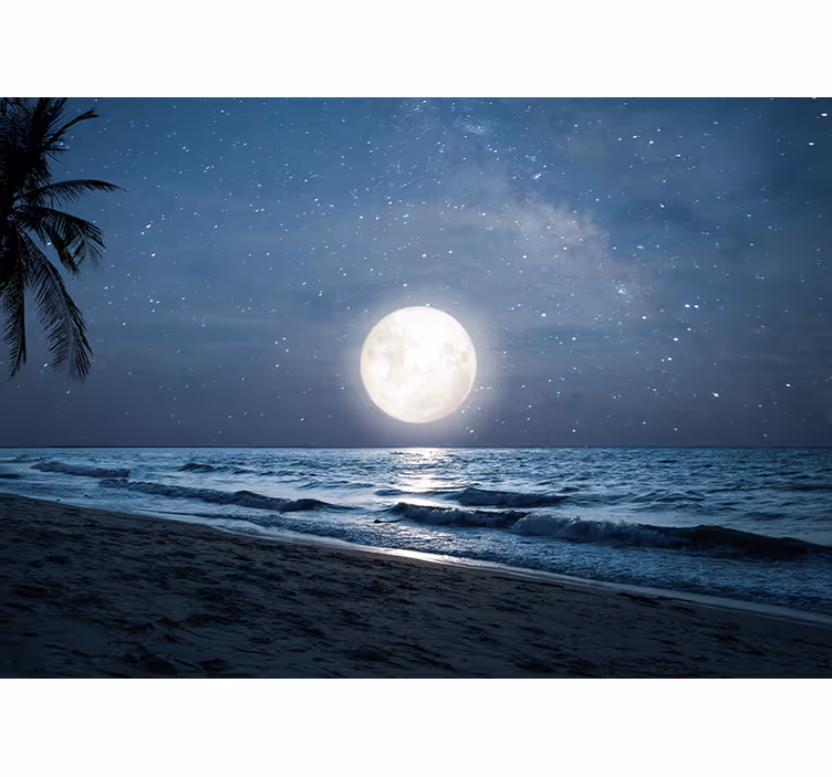 Bedroom roller blind beautiful moonlight over ocean - TenStickers