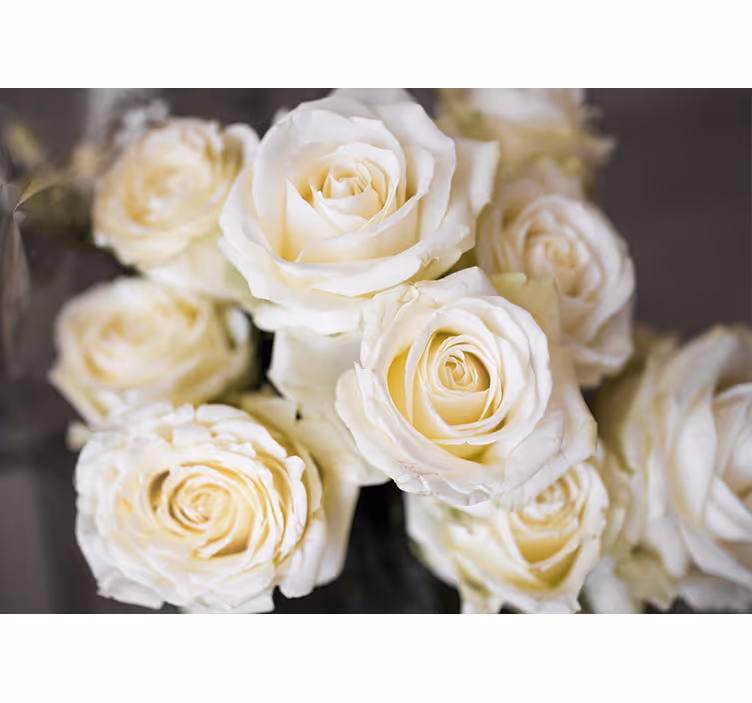 White roller blind white roses background - TenStickers